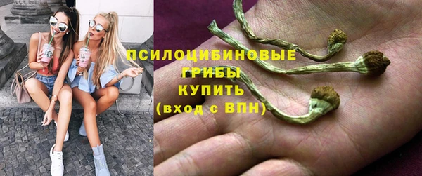 спайс Абаза