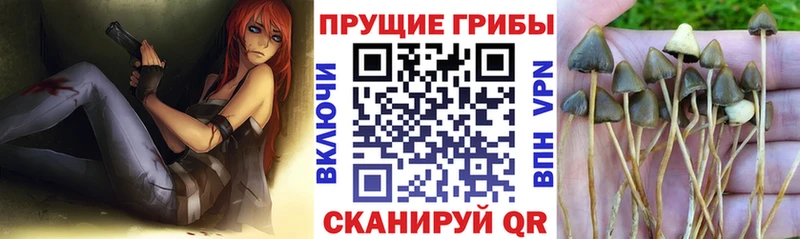 Псилоцибиновые грибы Magic Shrooms Отрадный